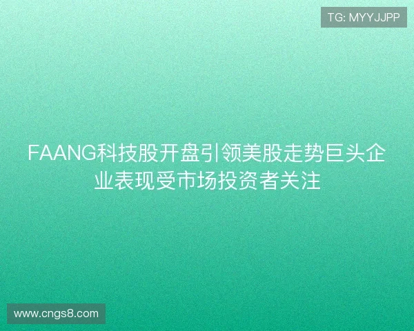 FAANG科技股开盘引领美股走势巨头企业表现受市场投资者关注
